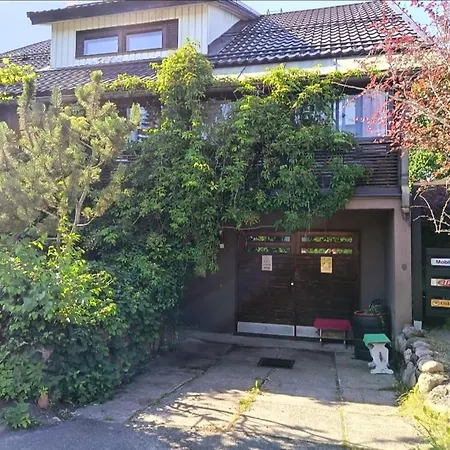 Pit Stop Gas Station *